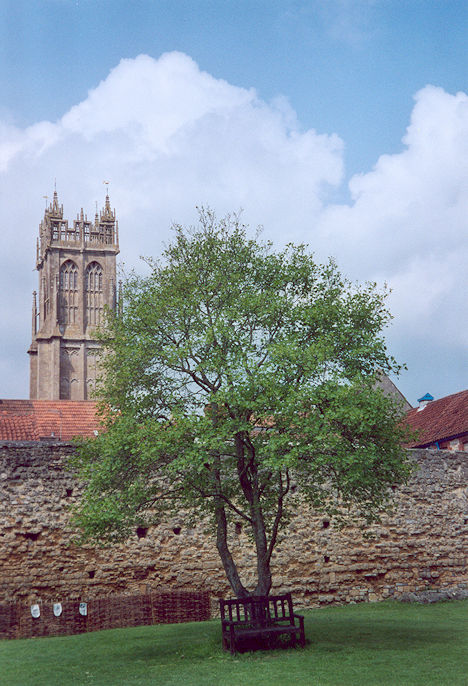 St John the Baptist Church tower