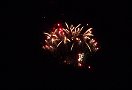 Bregenz 13 Pic 32