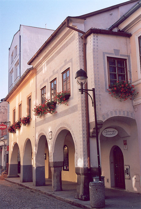 Plachého