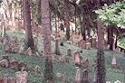 Třebíč 07 Pic 7