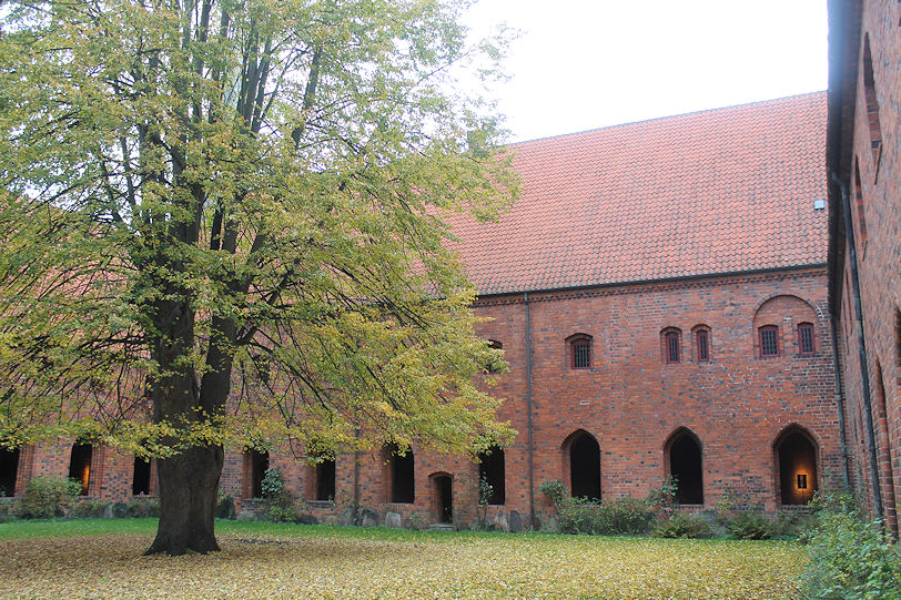 Vor Frue Kloster (Karmeliterkloster)