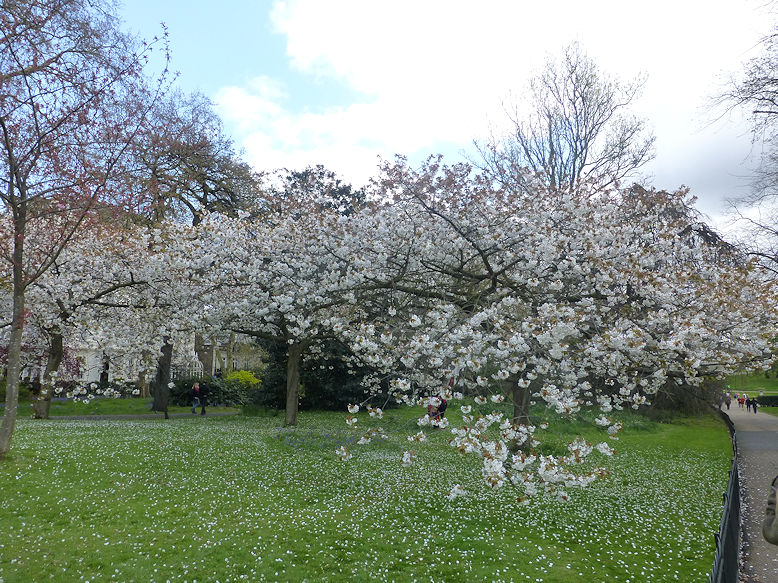 Kensington Gardens