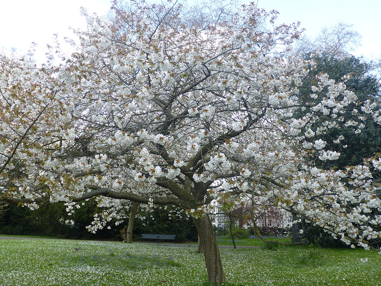 Kensington Gardens