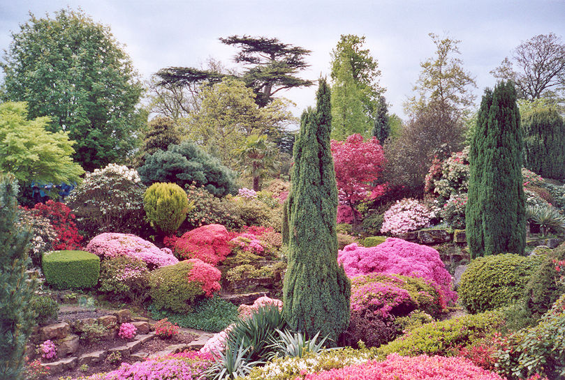 Rock Garden