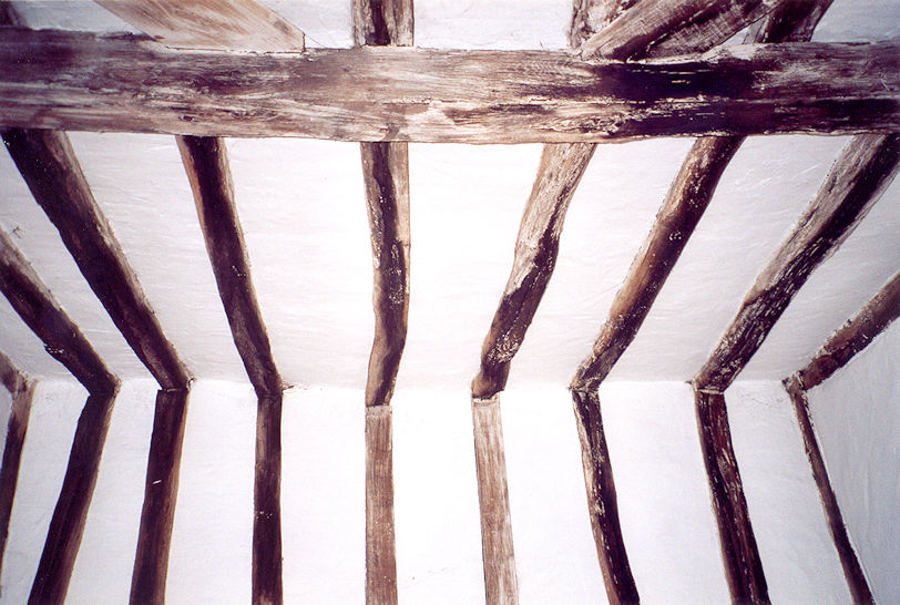 Tudor house