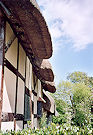 Stratford upon Avon 04 Pic 9