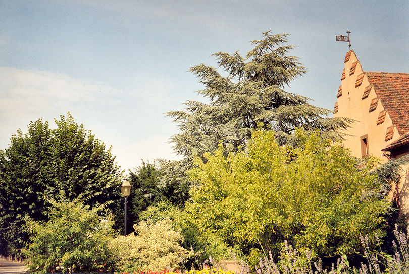 Rempart Maréchal Joffre