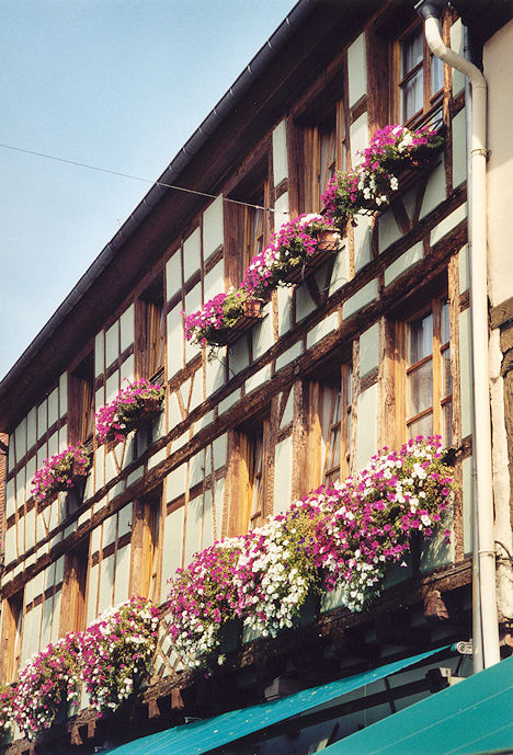 House Rue du Marché