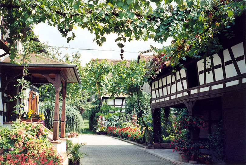 House & garden Rue des Églises