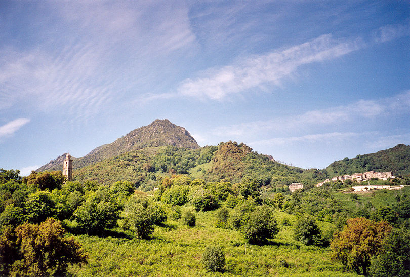Panoramic view
