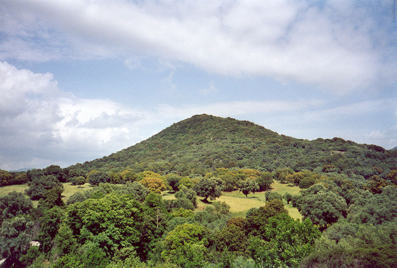 Site
