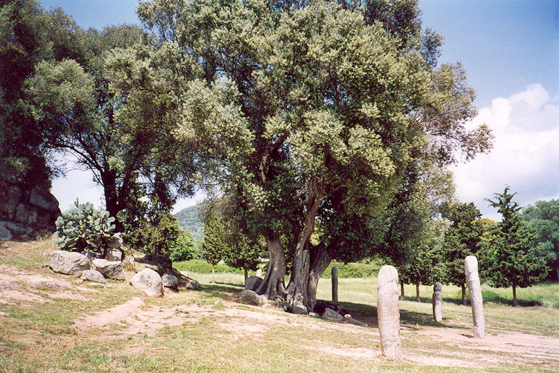 Statues-menhirs