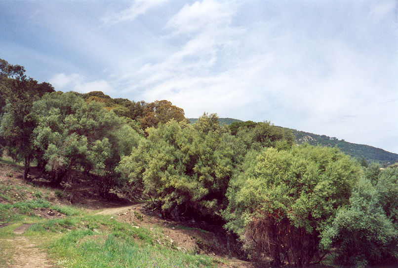 Site