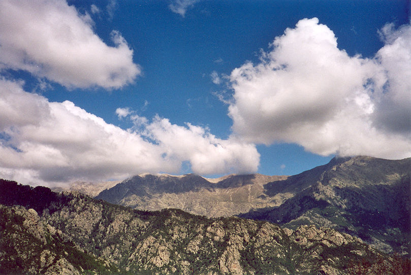 Monte d'Oro from Vizzavona forest