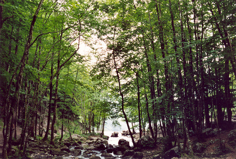 Hérisson waterfalls