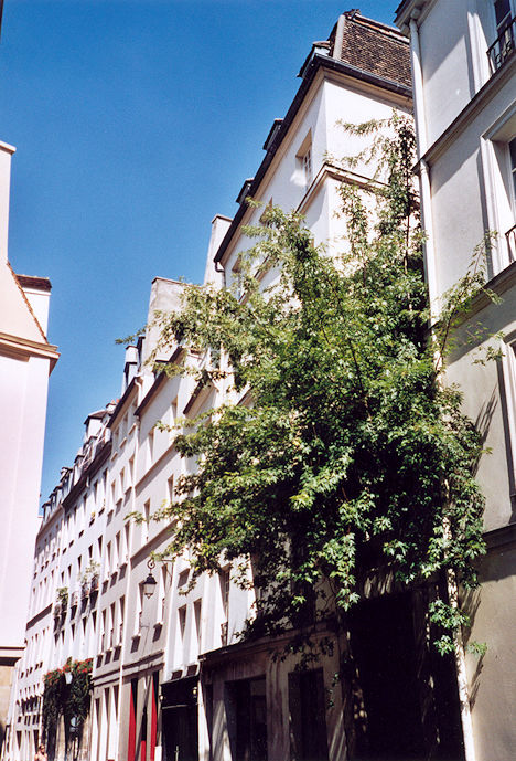 Rue Maître Albert