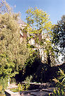 Limoges 01 Pic 14