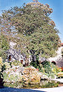 Saintes 04 Pic 8