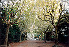 Arles 93 Pic 4