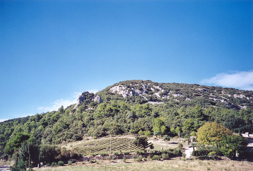Dentelles de Montmirail