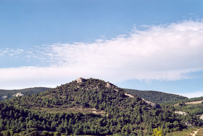 Dentelles de Montmirail