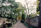 Saint-Rémy-de-Provence 93 Pic 1