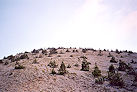 Mont Ventoux 00 Pic 2