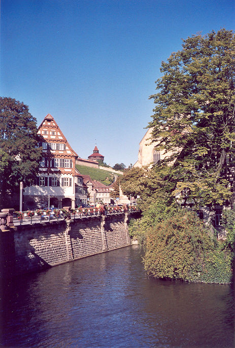 Along Neckar