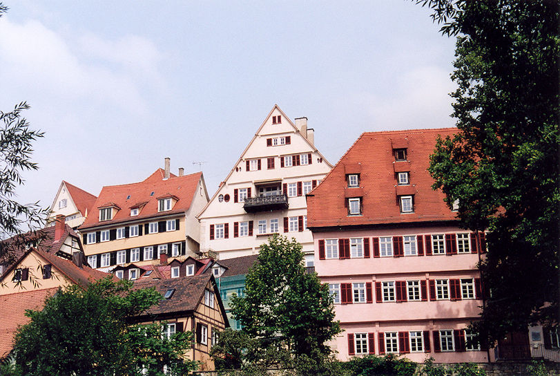 Houses along Neckar