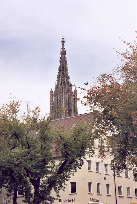 Münster from Weinhofberg