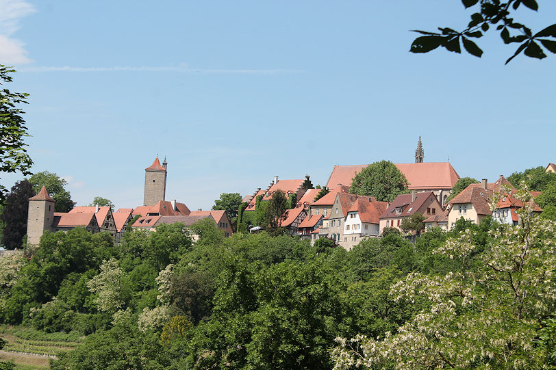 Panoramic view
