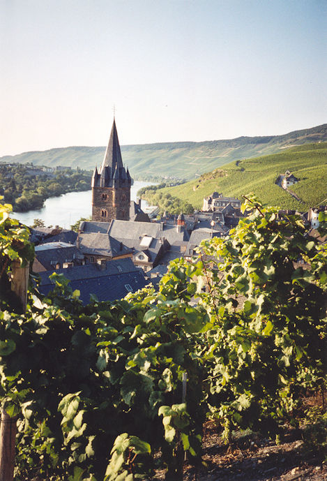 Panoramic view