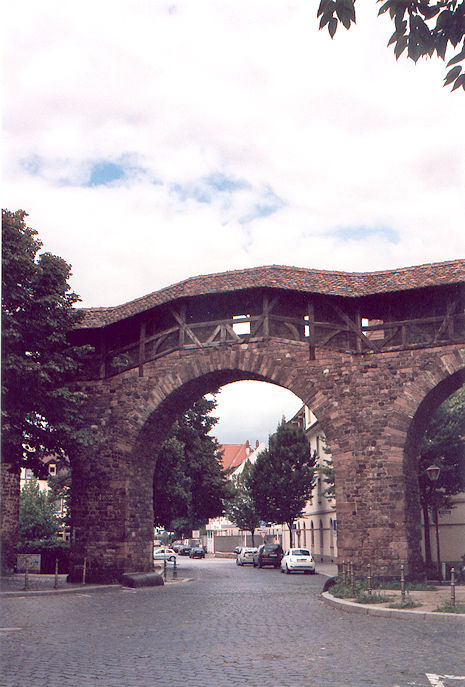 Raschitor