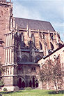 Halberstadt 09 Pic 11