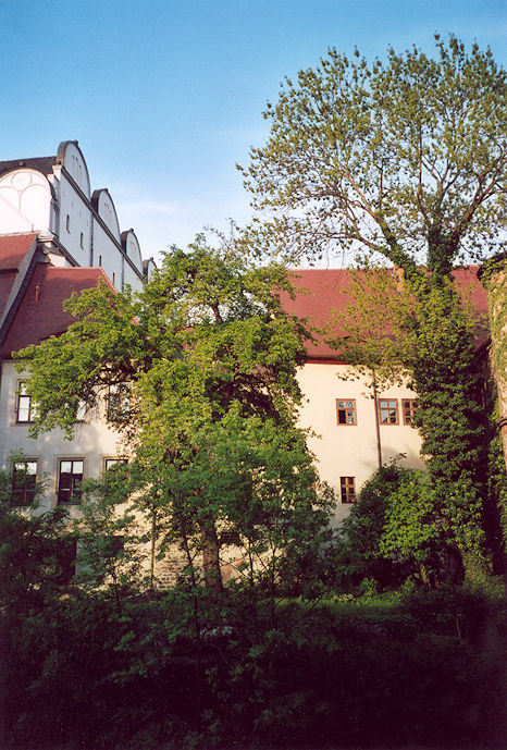 Dom