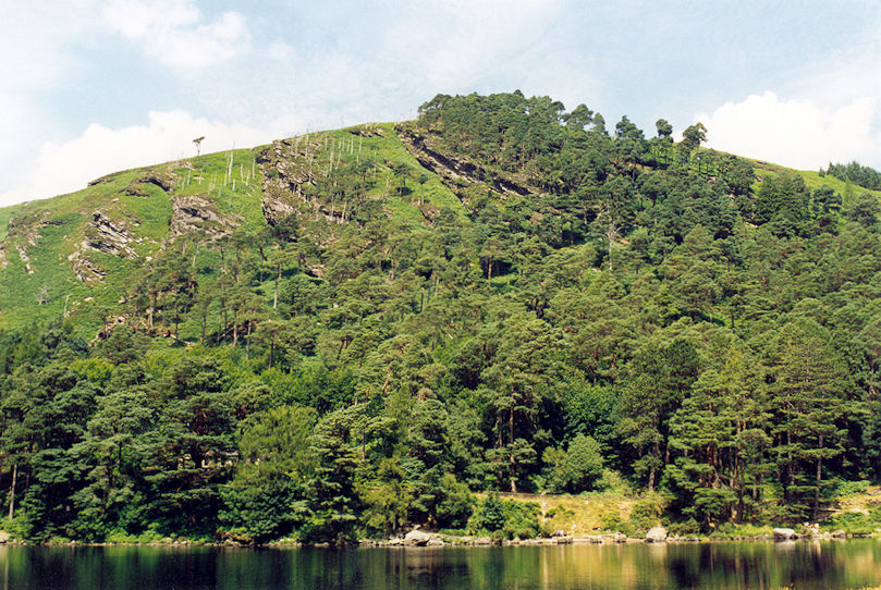 Hill & Upper Lake