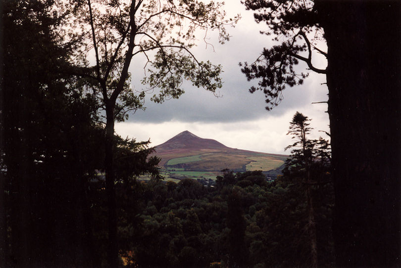 Powerscourt Demesne