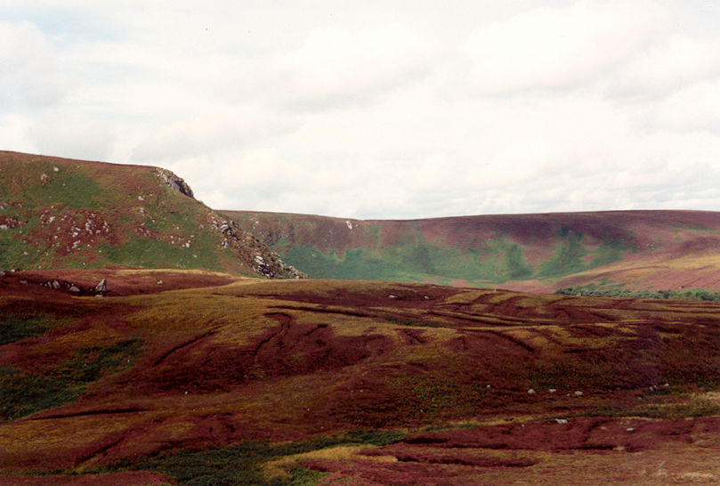 Moor