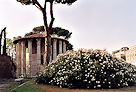 Roma 00 Pic 19
