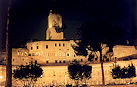 Roma 91 Pic 2