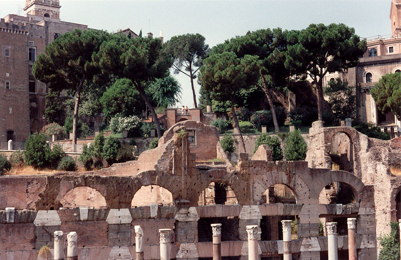 In Foro Romano