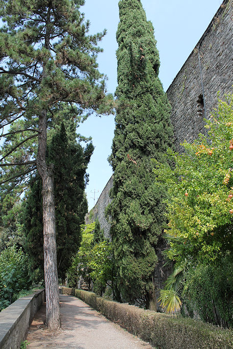 Rocca