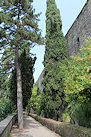 Bergamo 15 Pic 40