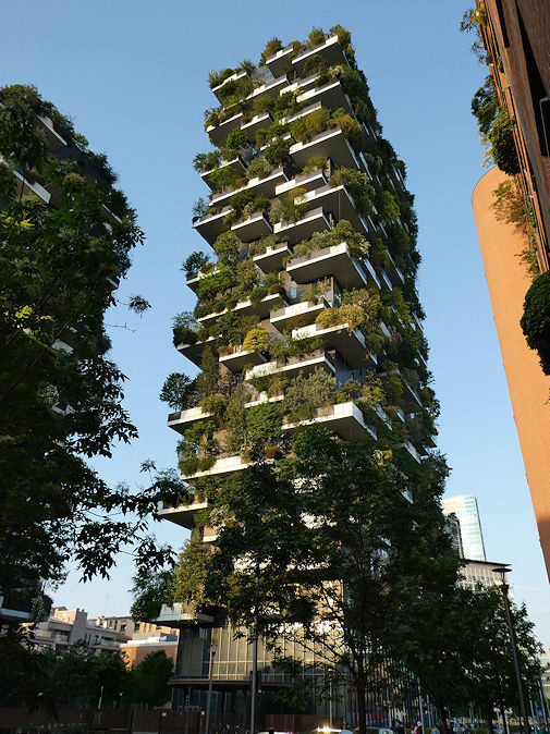 Bosco Verticale, Via Gaetano de Castillia