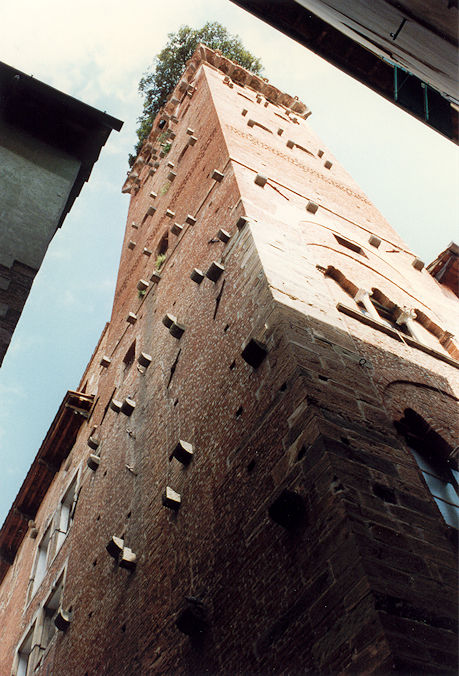 Torre Guinigi