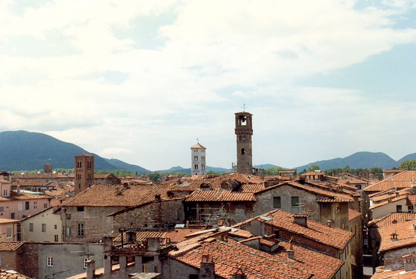 Panoramic view