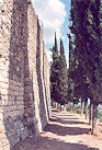 San Gimignano 09 Pic 44