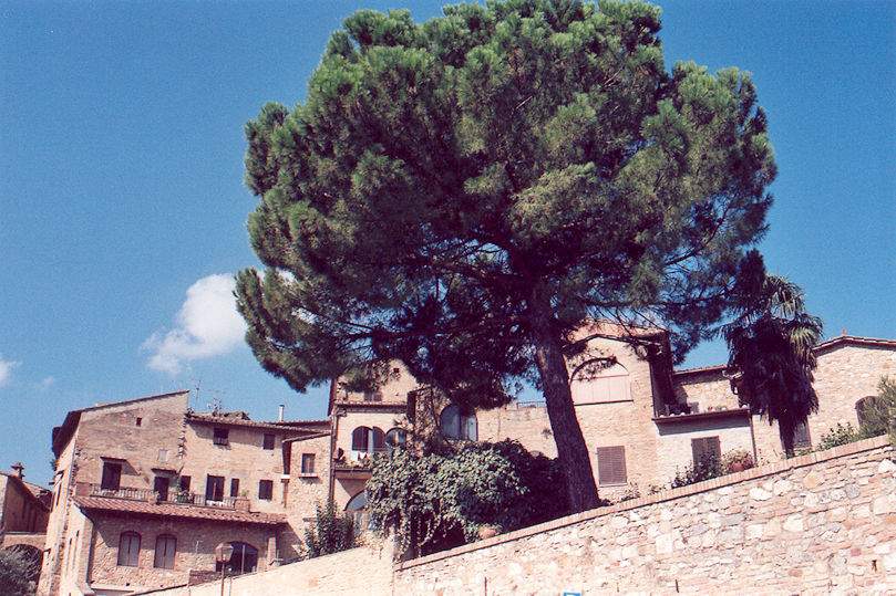 View from Via Piandornella