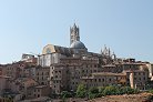 Siena 13 Pic 12