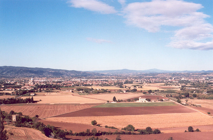 Panoramic view